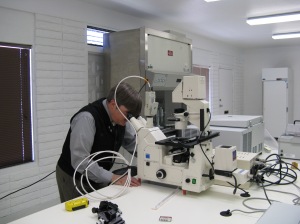 Dr Payne at the Zeiss Microscope